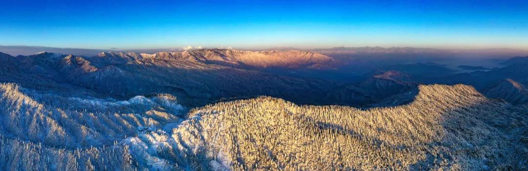 微信图片_20210118161041