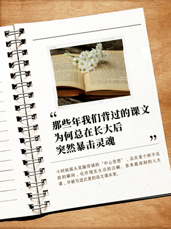 image.png?v=1757808780911