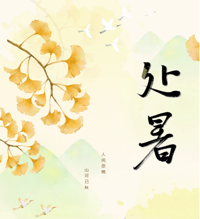 image.png?v=1757830624148