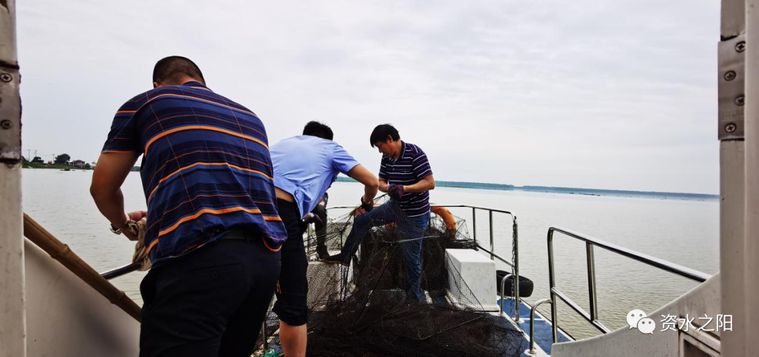 8 8.png?v=1765946531306