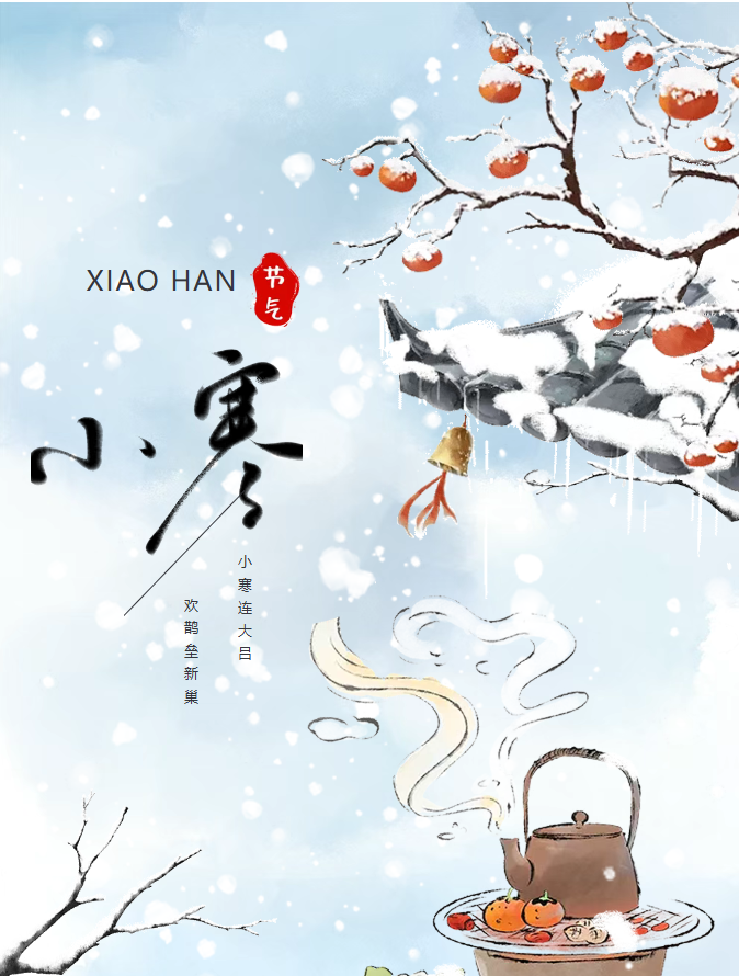 image.png?v=1770178027538