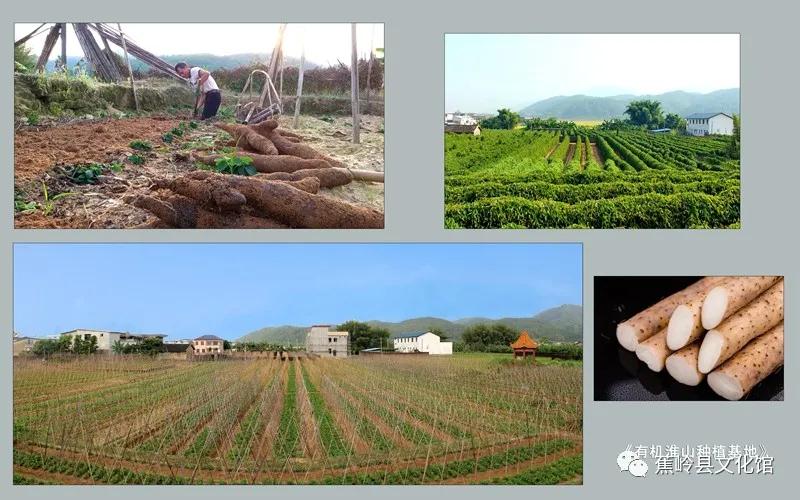 5 5.jpg?v=1765891042459