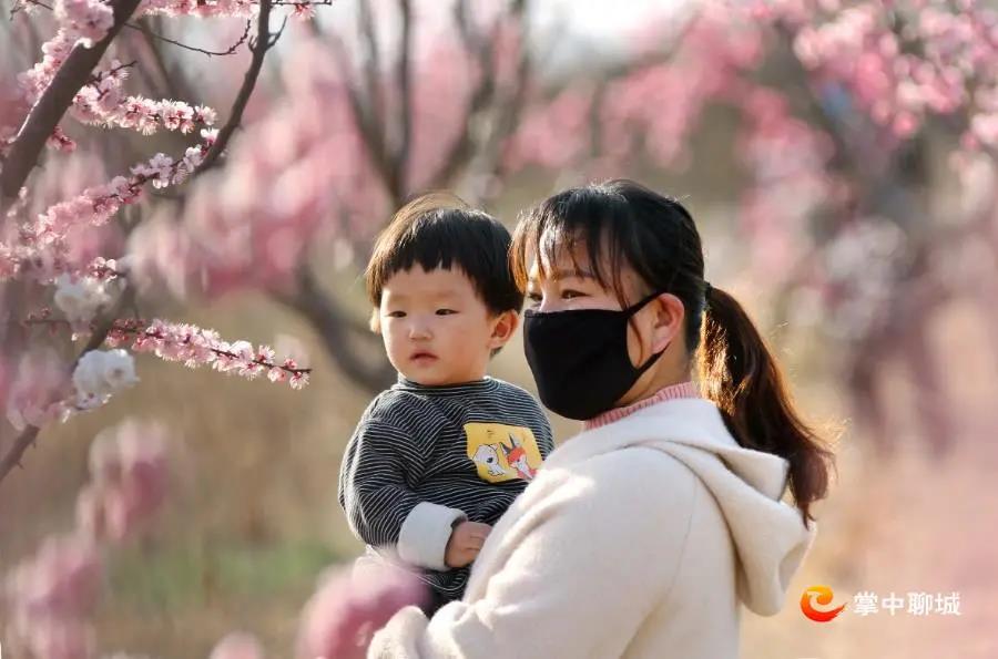 微信图片_20210324085044 微信图片_20210324085044.jpg