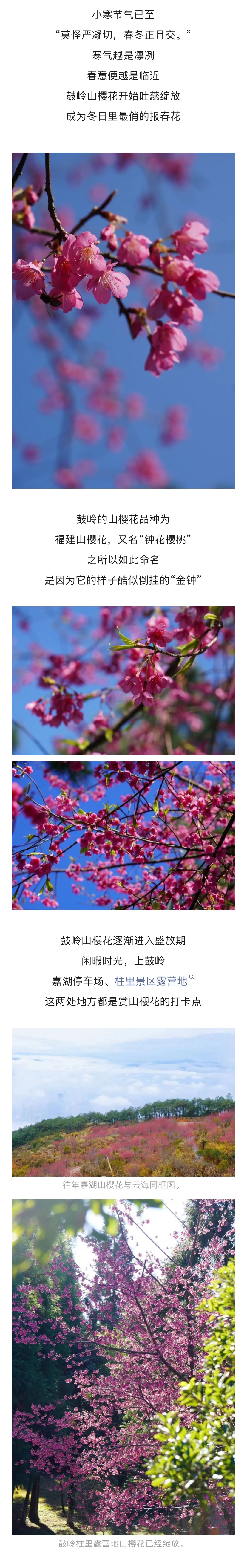 20260107【资讯】开啦！开啦！福州这里迎来颜值巅峰2jpg