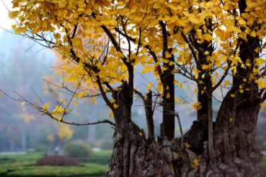 微信图片_20200614094940