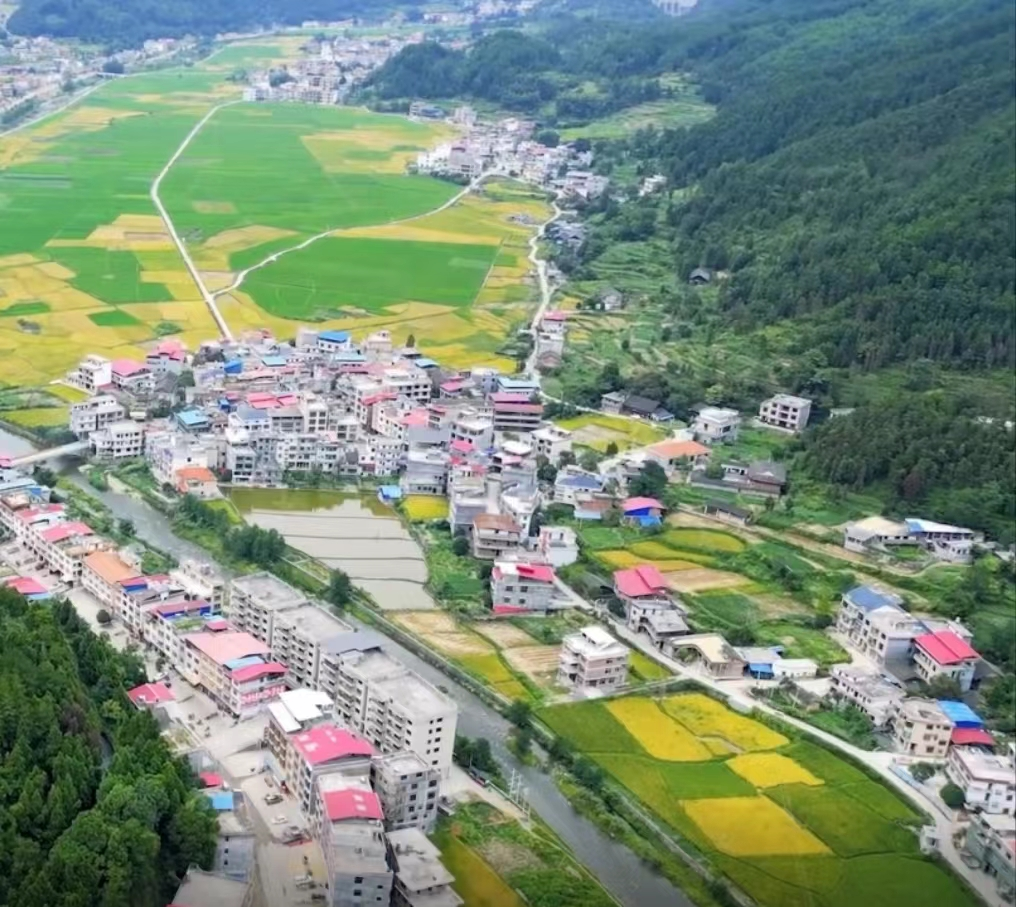 图片15 图片15.png