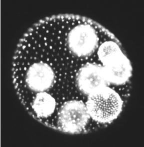 pagenumber_ebook=17,pagenumber_book=17