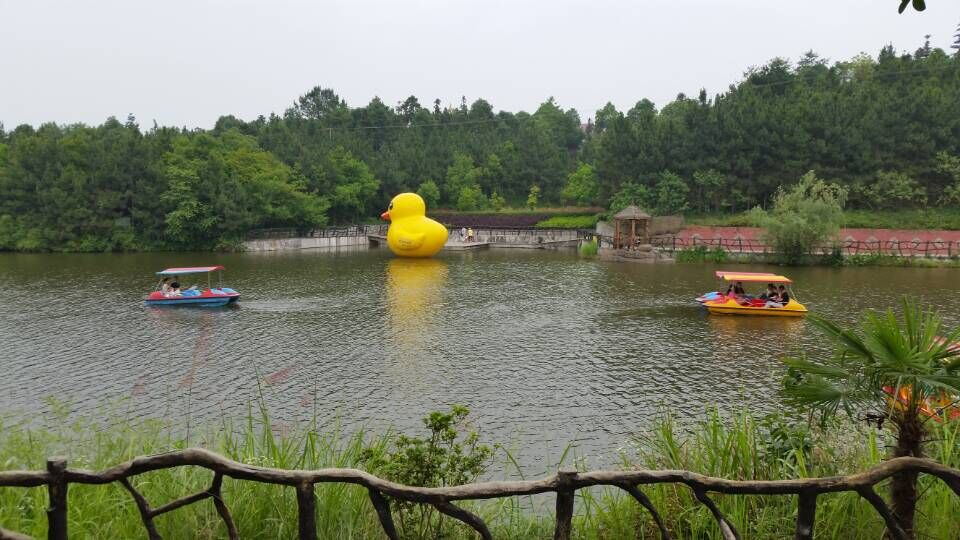 QQ图片20150604231911_看图王 QQ图片20150604231911_看图王