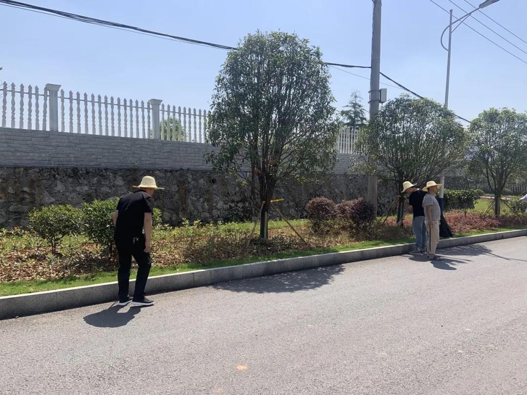 微信图片_20200713204628 微信图片_20200713204628.jpg