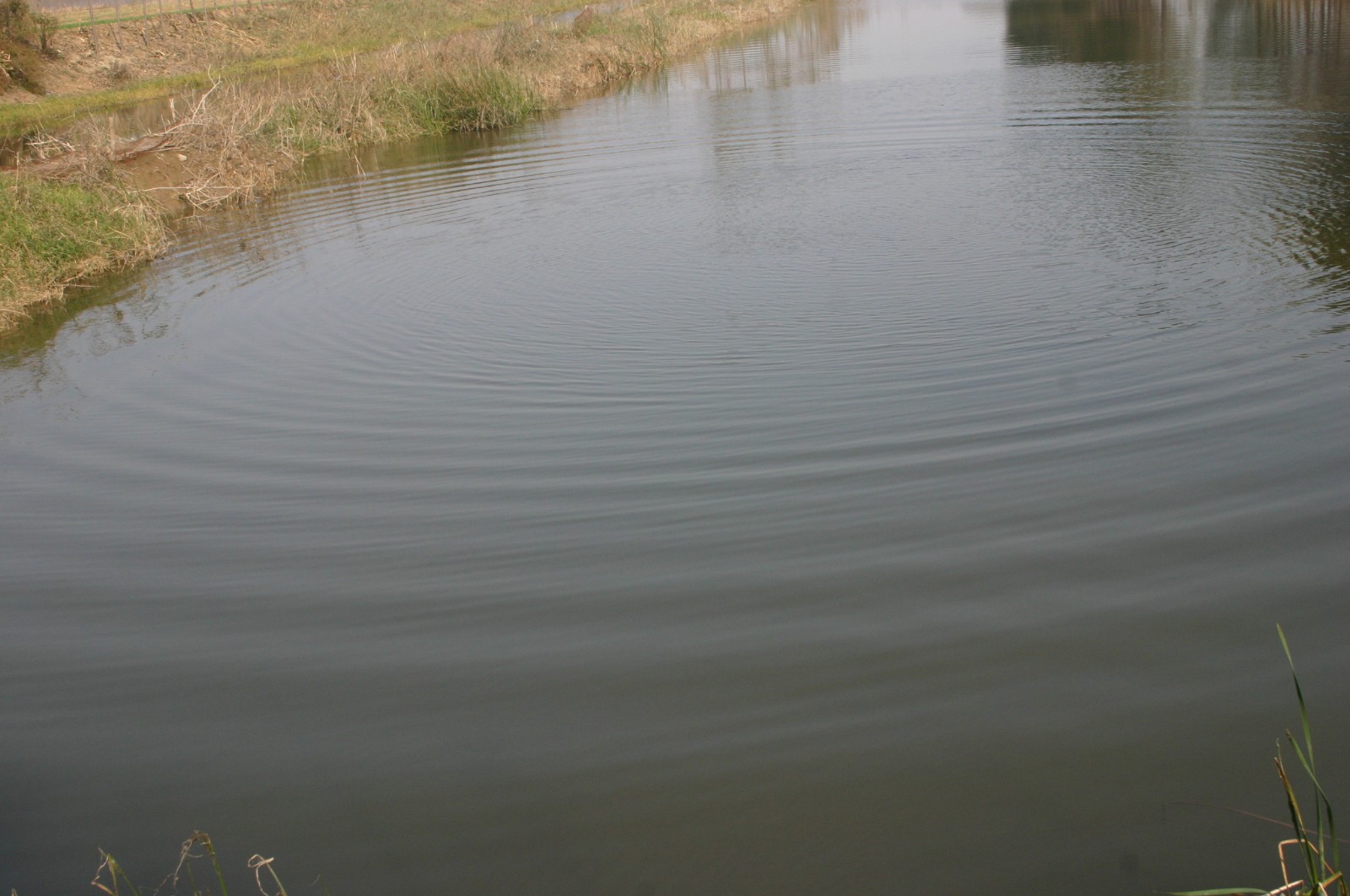 赵牛河的故事 (1)