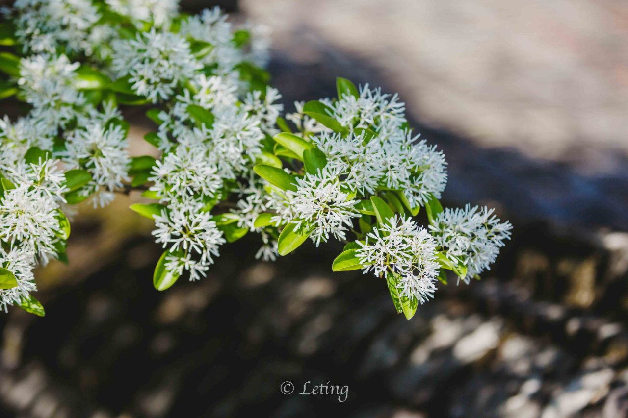 微信图片_20220406153813 微信图片_20220406153813.png