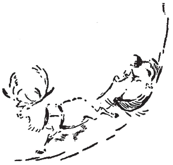 pagenumber_ebook=316,pagenumber_book=308