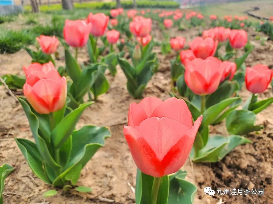 微信图片_20210329153751 微信图片_20210329153751.jpg