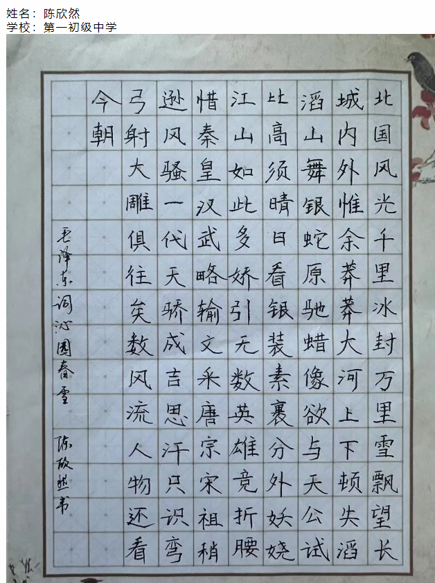 image.png?v=1765670825570