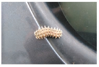 pagenumber_ebook=47,pagenumber_book=39