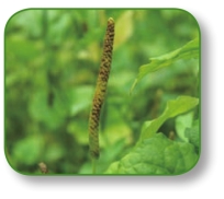 pagenumber_ebook=135,pagenumber_book=122