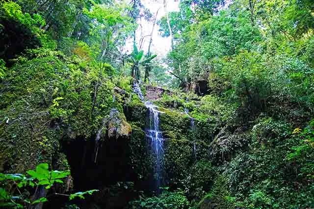 9 9.jpg?v=1762323976584