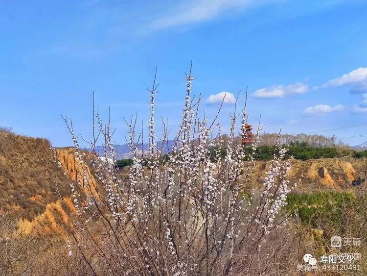 微信图片_20230414095934