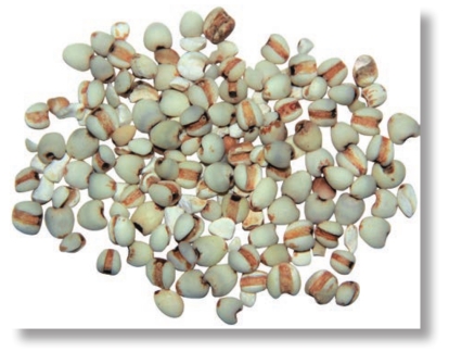 pagenumber_ebook=112,pagenumber_book=99