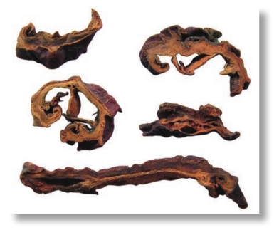 pagenumber_ebook=97,pagenumber_book=84