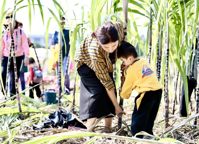 图片11 图片11.png