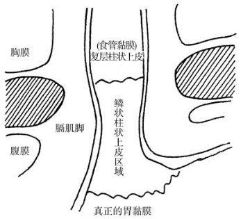 pagenumber_ebook=301,pagenumber_book=286