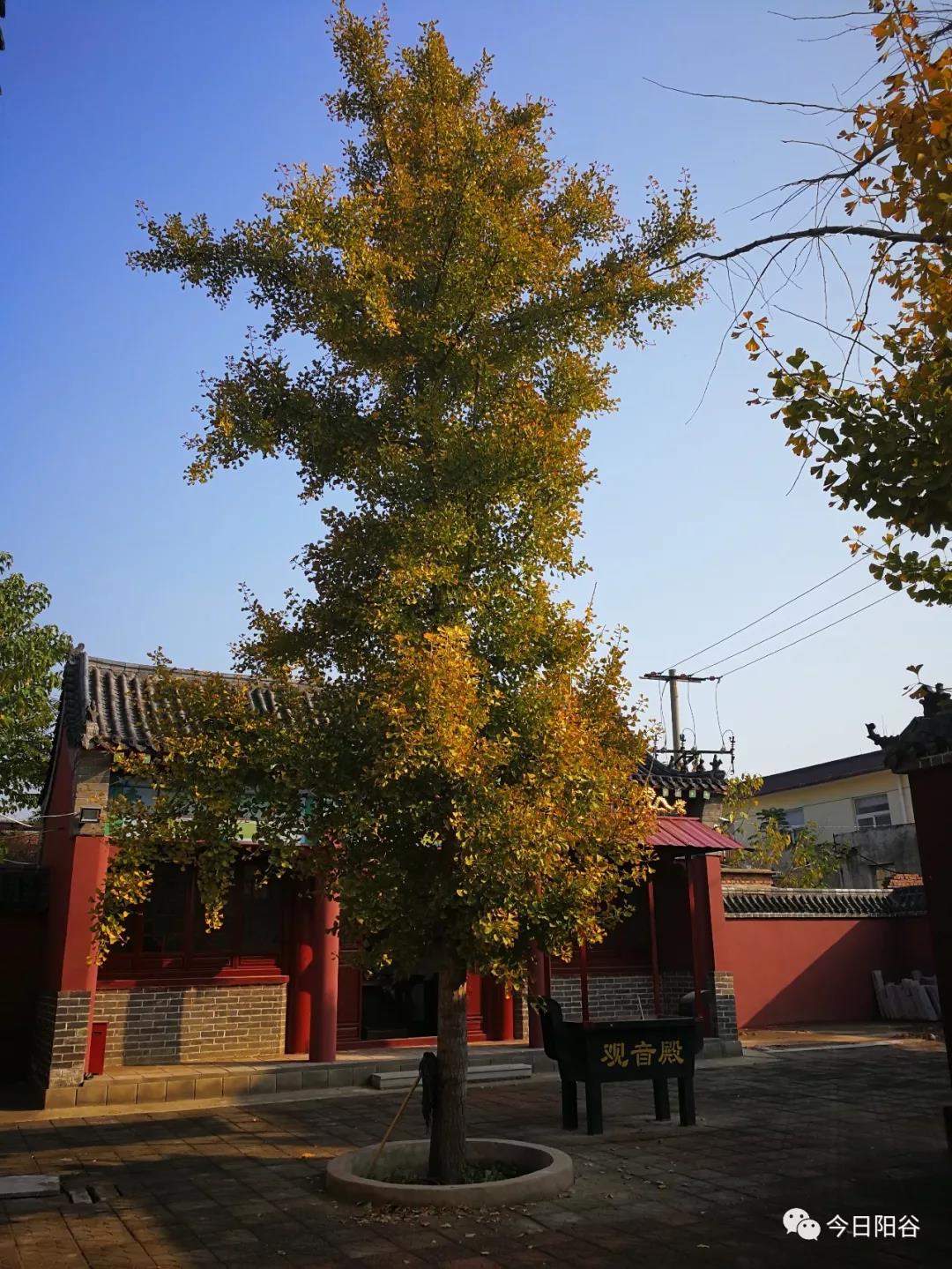 微信图片_20210825103542 微信图片_20210825103542.jpg