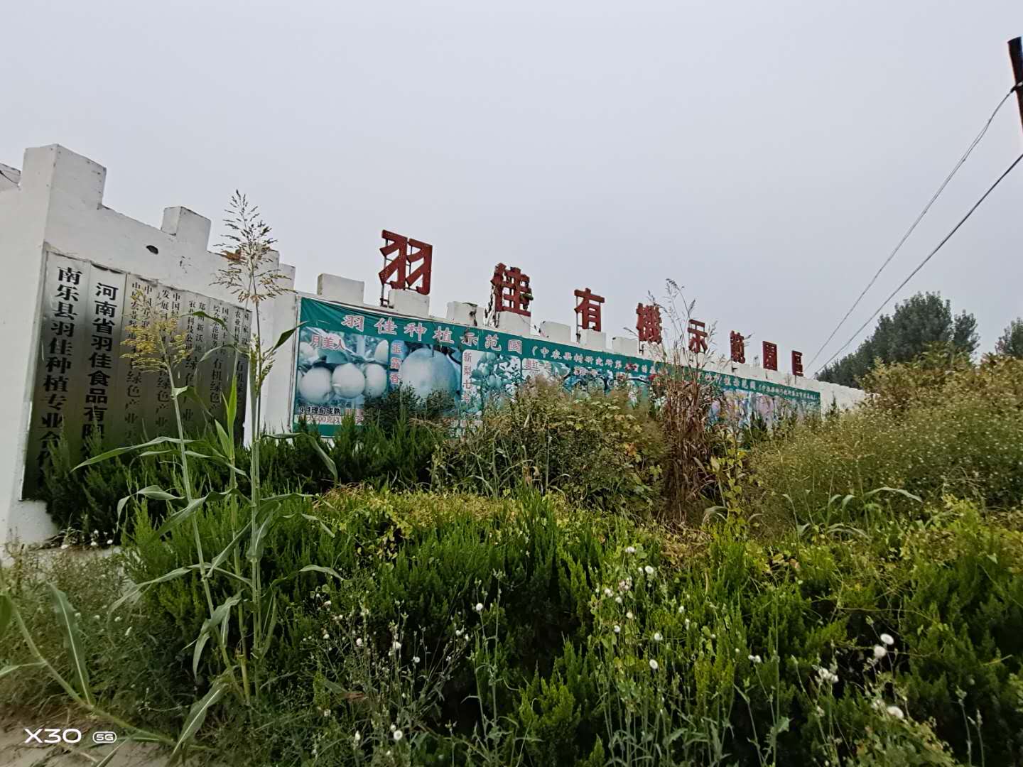 微信图片_20200923173732