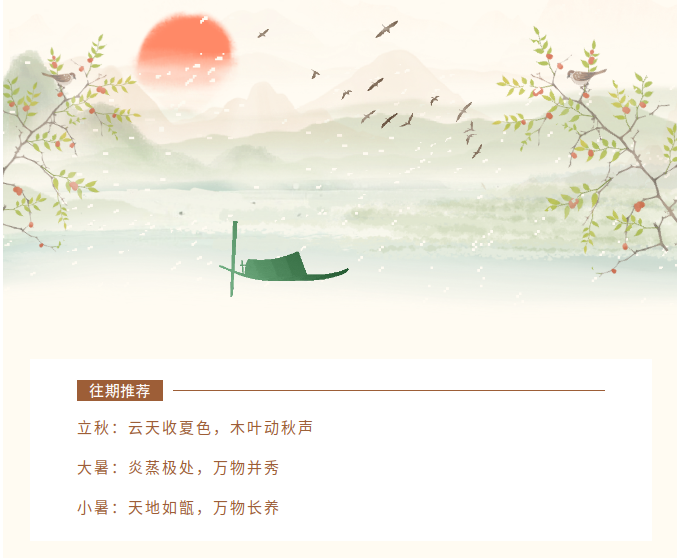 image.png?v=1787517468287