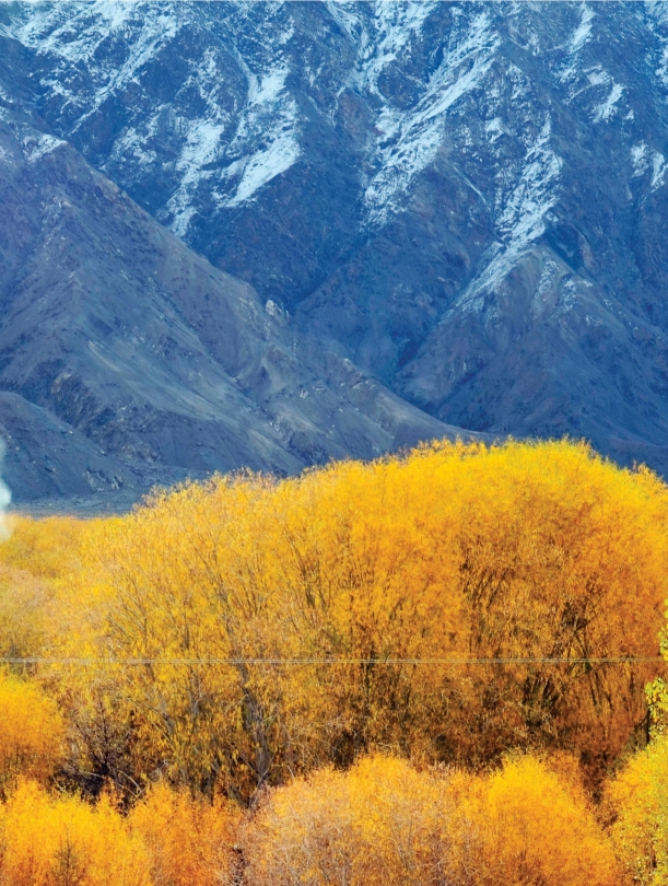 pagenumber_ebook=40,pagenumber_book=29