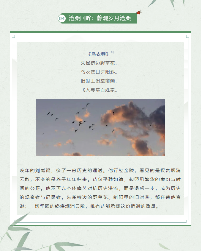 image.png?v=1770178028045