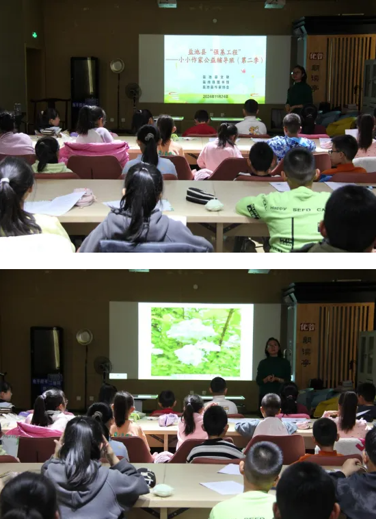 image image.png?v=1763557904489