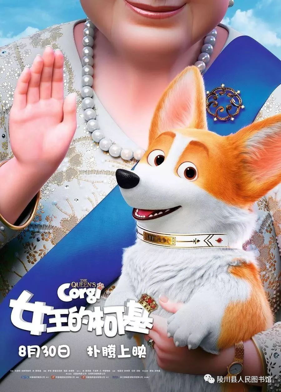图片11.png?v=1751640638749