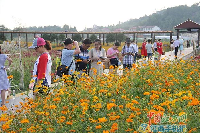 微信图片_20200712131043 微信图片_20200712131043.jpg