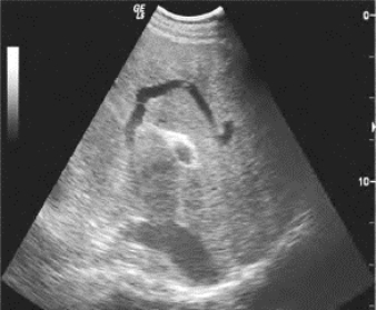 pagenumber_ebook=673,pagenumber_book=673