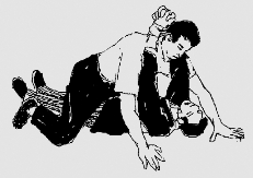 pagenumber_ebook=100,pagenumber_book=87