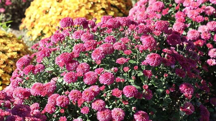 微信图片_20211026163446 微信图片_20211026163446.jpg