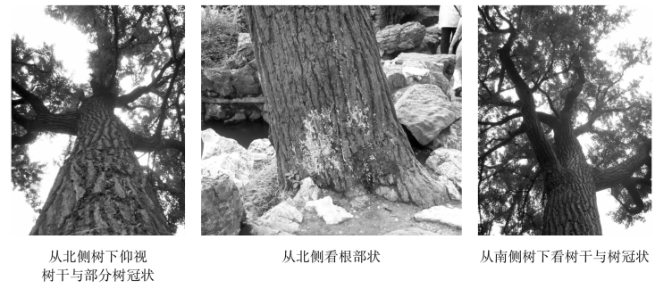 pagenumber_ebook=97,pagenumber_book=97