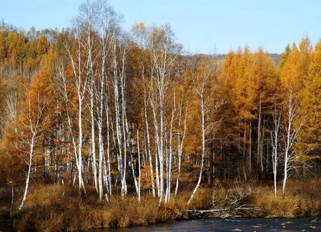 f73edb63c7b4dc35a3189862f95ae46c f73edb63c7b4dc35a3189862f95ae46c.jpg