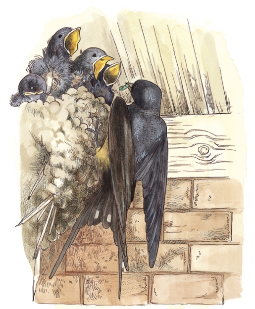 pagenumber_ebook=47,pagenumber_book=45