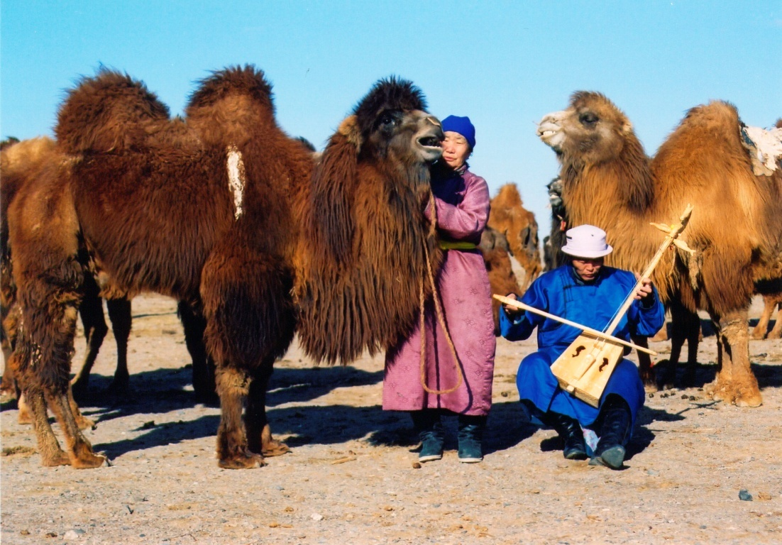 图片3 图片3.png?v=1765598052098