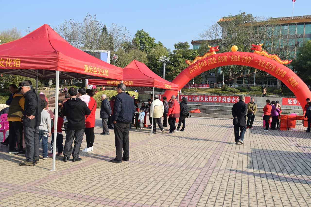 DSC_4233 DSC_4233.jpg?v=1766076921846