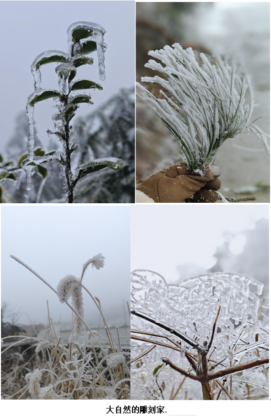 1732190214928 1732190214928.png