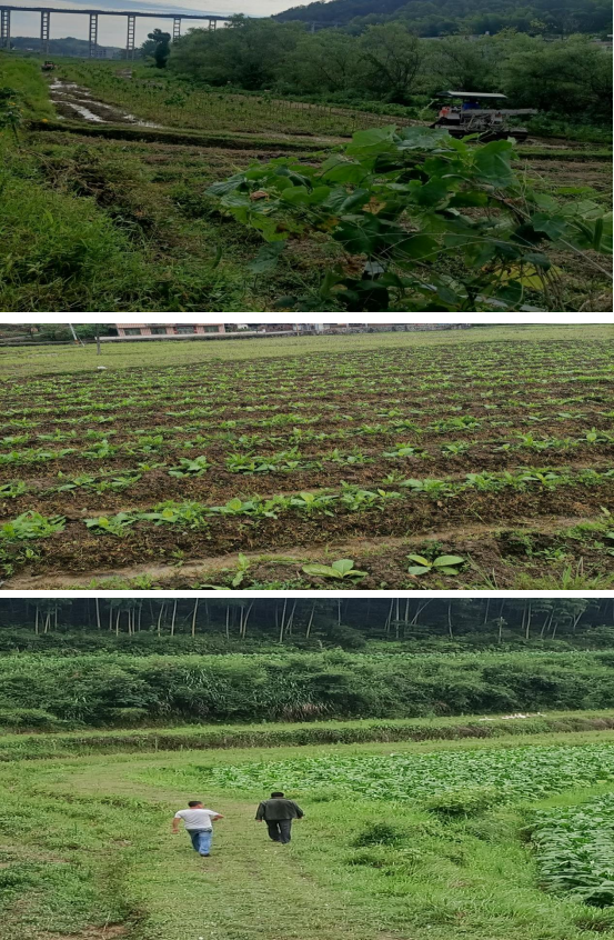 图片 10 图片 10.png