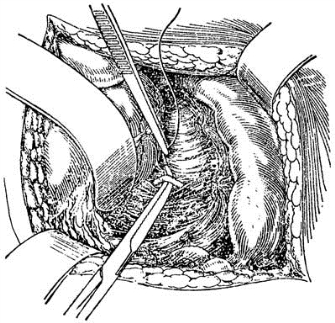 pagenumber_ebook=506,pagenumber_book=491