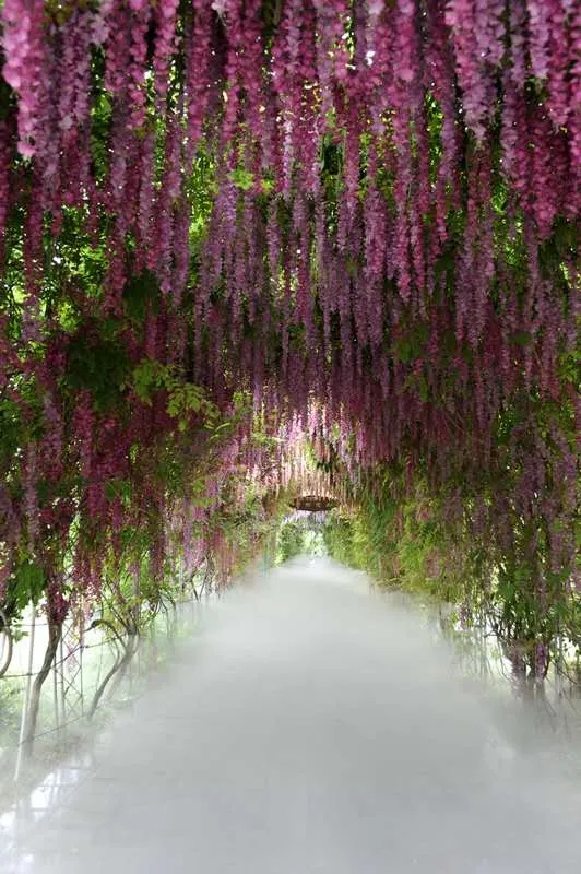 640.webp (1) 640.webp (1).jpg