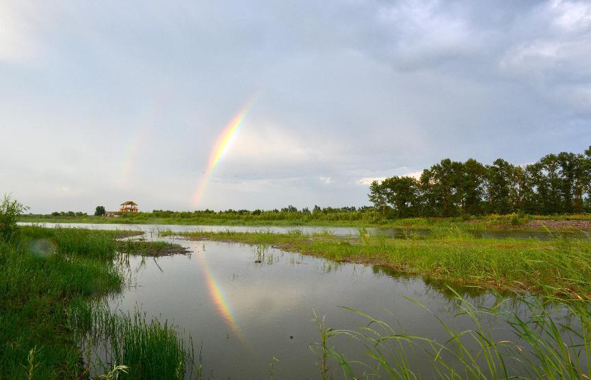 《辽河源》杨立秋