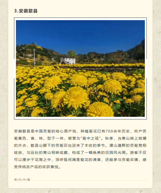 image.png?v=1762100057603