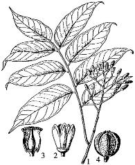 pagenumber_ebook=85,pagenumber_book=85