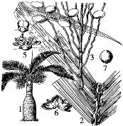 pagenumber_ebook=115,pagenumber_book=115